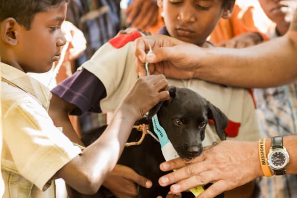 A child with his vaccinated puppy