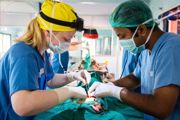 Veterinary training